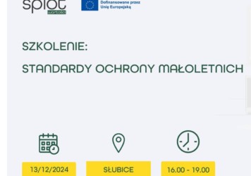 Zapraszamy na Szkolenie dla NGO: Standardy ochrony małoletnich 13.12.2024, Słubice